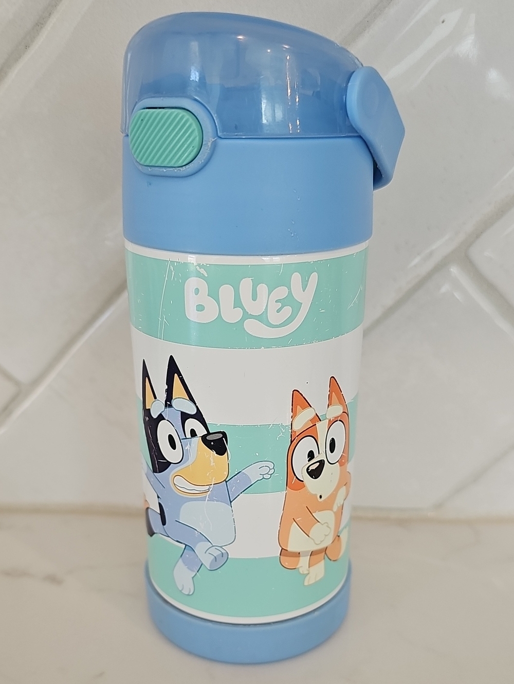 Thermos Kids Blue & Mint 'Bluey' Insulated Bottle